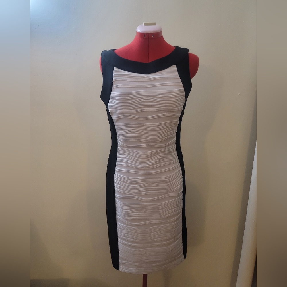 Calvin Klein Black and White Ruched Sheath Dress